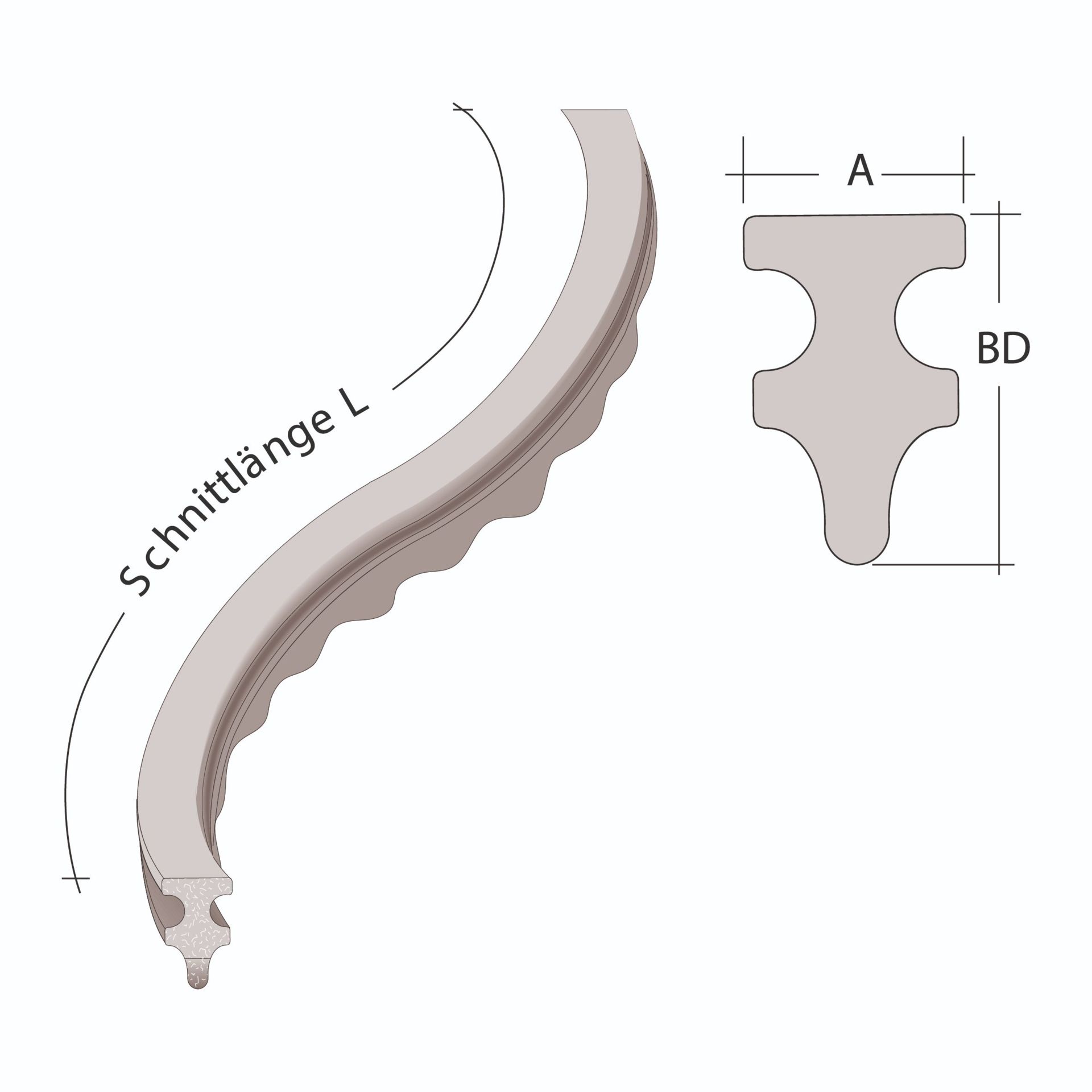 Eel N L=50 with knobs